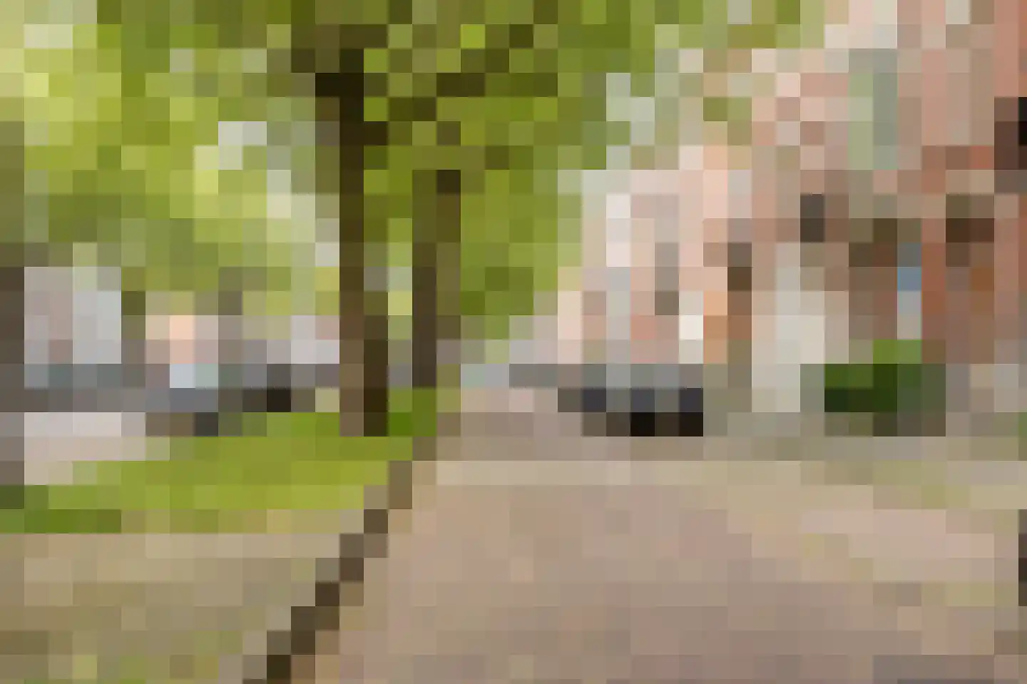 Mathenesserlaan 247 E Rotterdam thumbnail 25