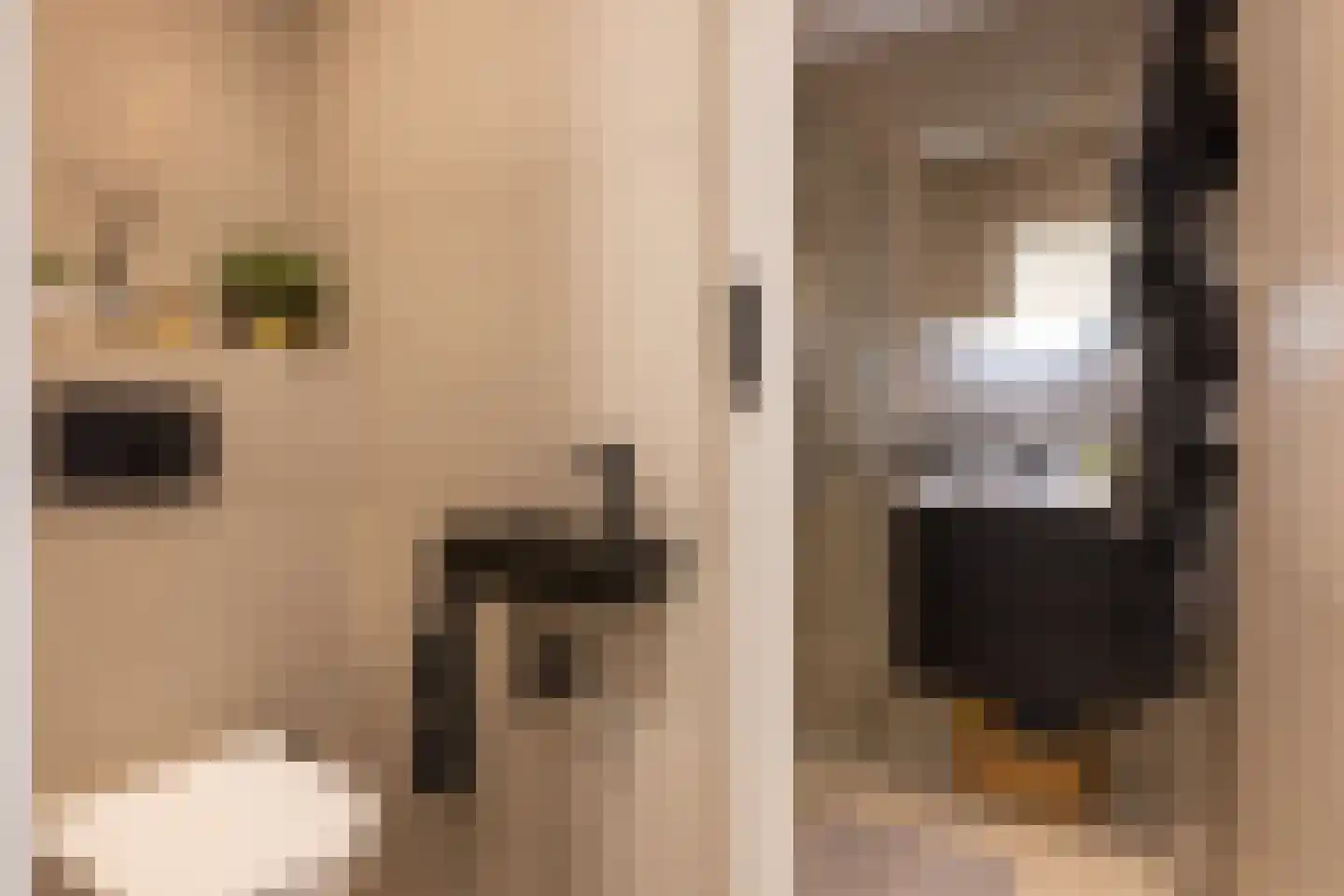 Mathenesserlaan 247 H Rotterdam thumbnail 16