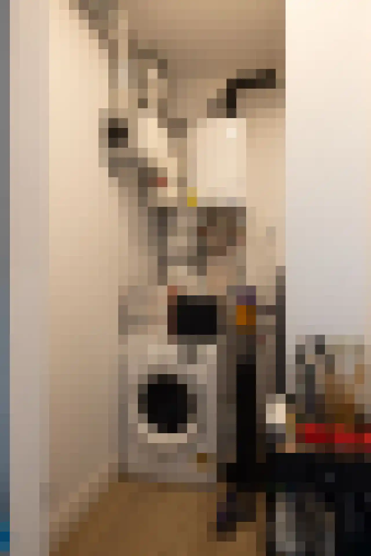 Mathenesserlaan 247 H Rotterdam thumbnail 18