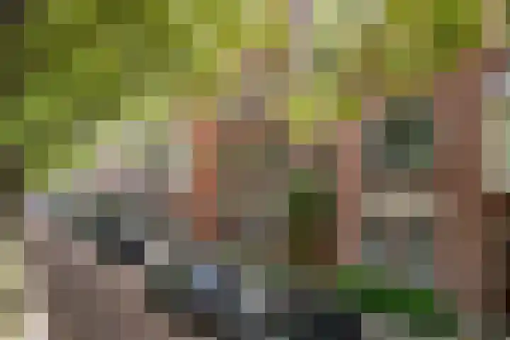 Mathenesserlaan 250 A Rotterdam