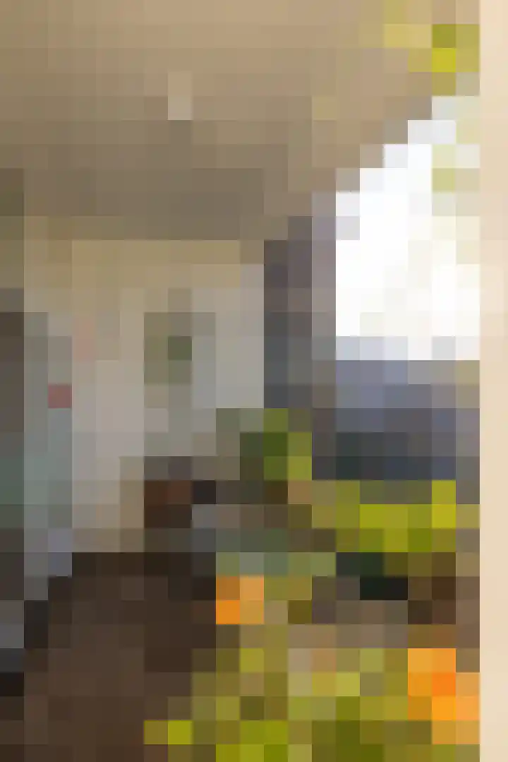 Mathenesserlaan 262 C Rotterdam thumbnail 17