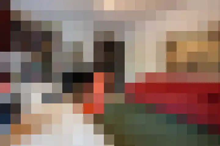 Mathenesserlaan 262 C Rotterdam thumbnail 22
