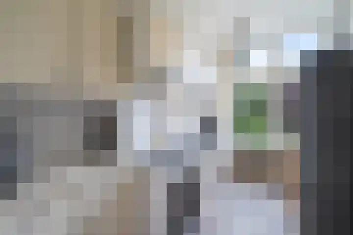 Mathenesserlaan 311 B 02 Rotterdam thumbnail 21