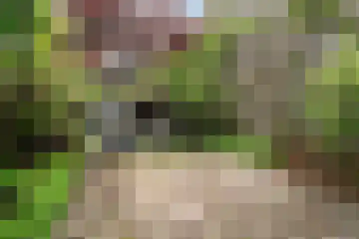 Mathenesserlaan 311 B 02 Rotterdam thumbnail 34