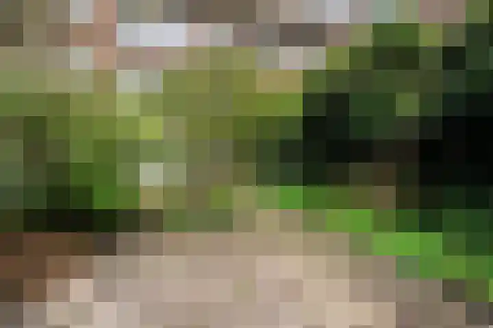 Mathenesserlaan 311 B 02 Rotterdam thumbnail 35