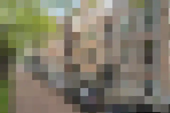 Mathenesserlaan 311 B 02 Rotterdam thumbnail 37