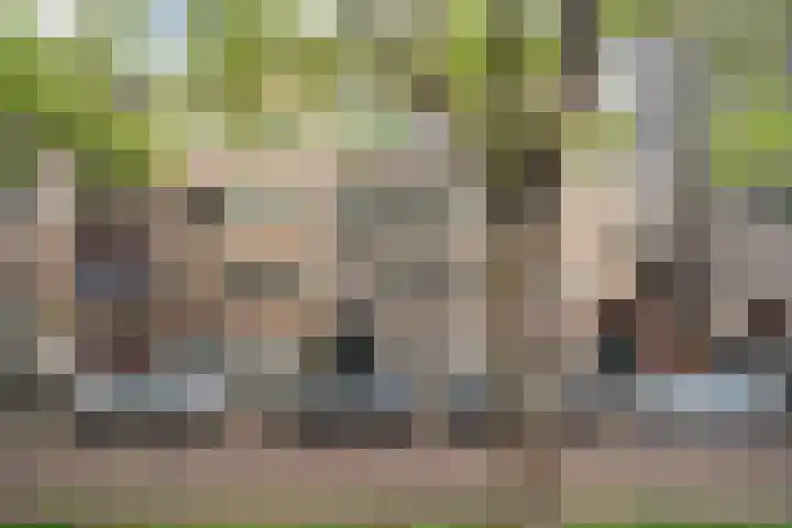 Mathenesserlaan 311 B 02 Rotterdam thumbnail 41