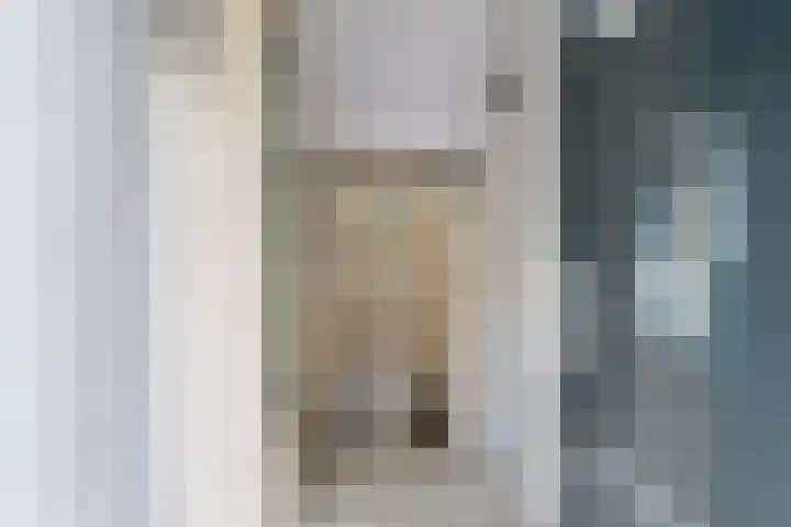 Mathenesserlaan 311 B 02 Rotterdam thumbnail 5