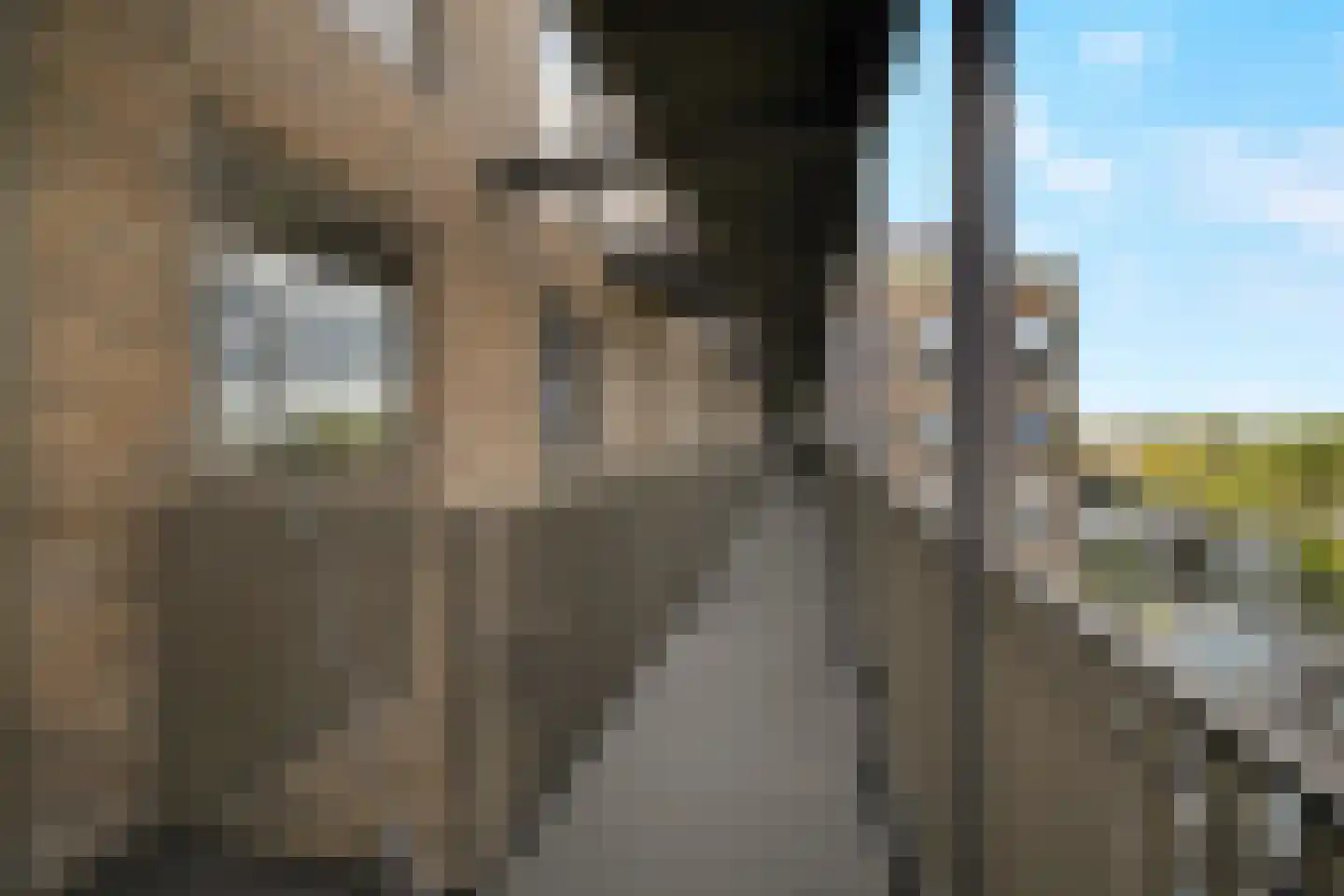 Mathenesserlaan 323 M Rotterdam thumbnail 9
