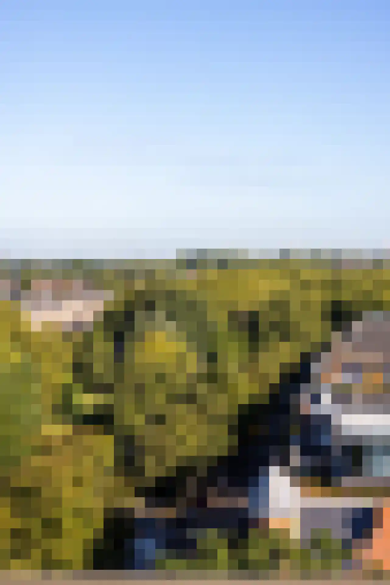 Mathenesserlaan 325 D Rotterdam thumbnail 30