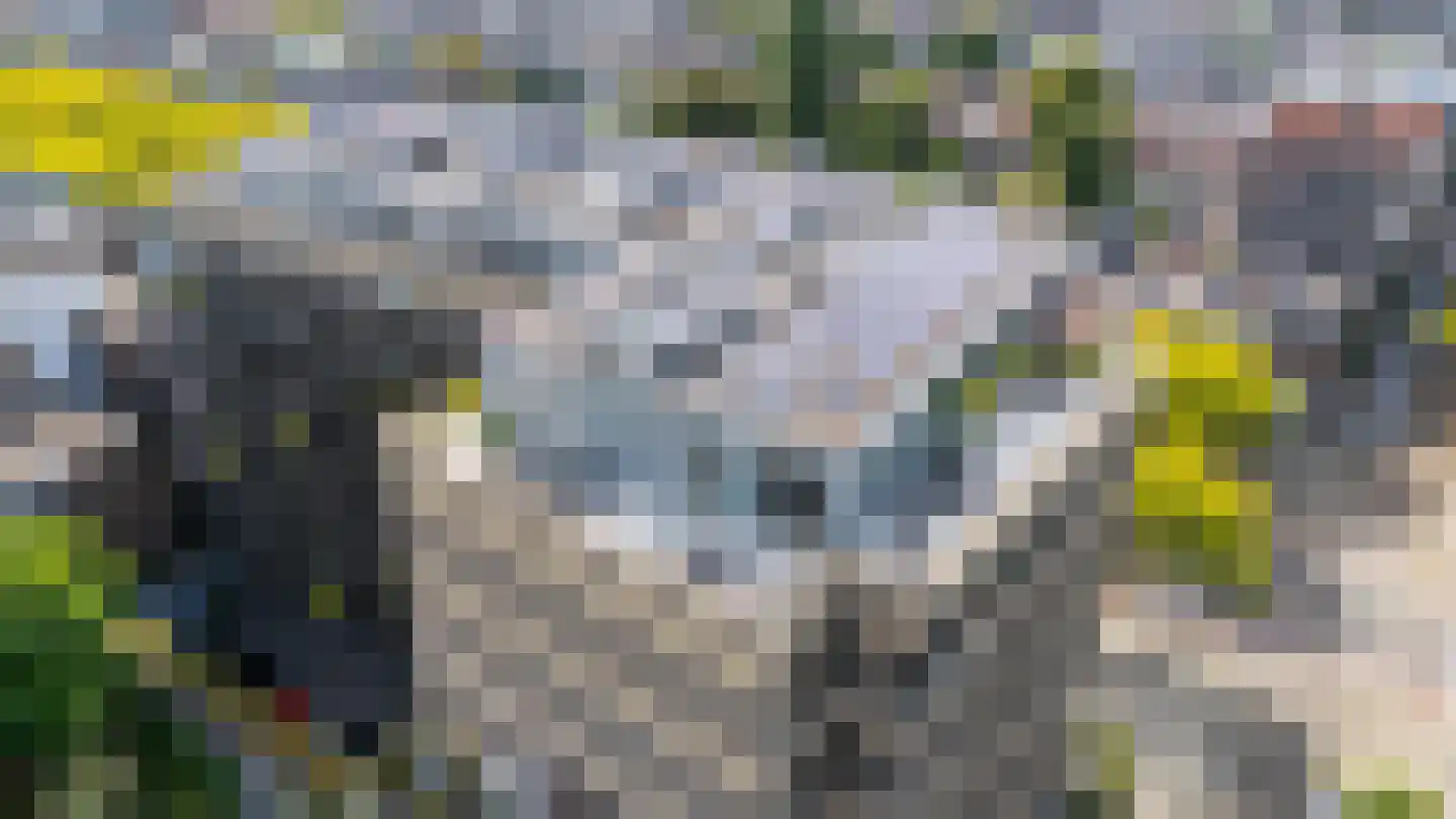 Mathenesserlaan 325 D Rotterdam thumbnail 5