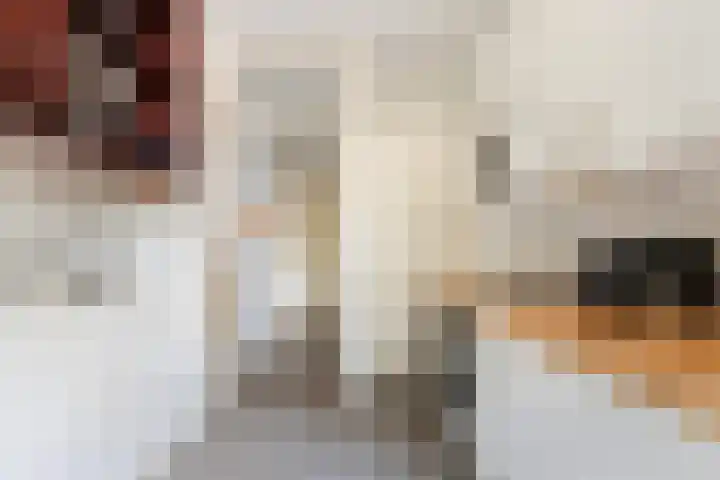 Mathenesserlaan 353 B Rotterdam thumbnail 14