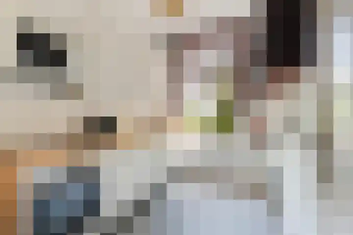 Mathenesserlaan 353 B Rotterdam thumbnail 15