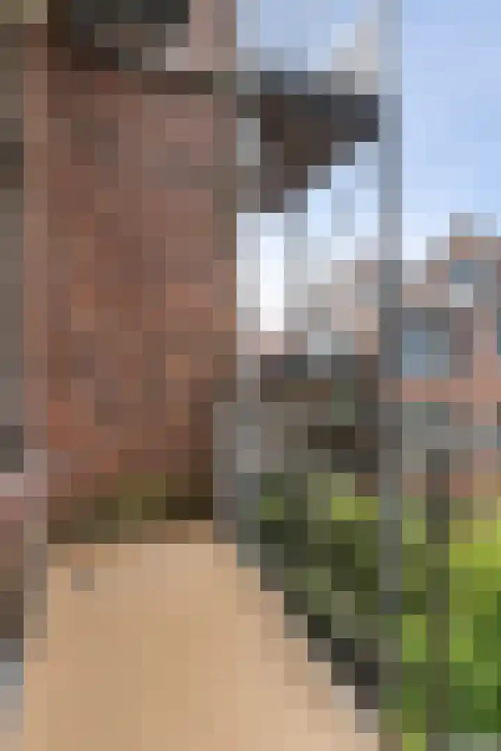 Mathenesserlaan 353 B Rotterdam thumbnail 25