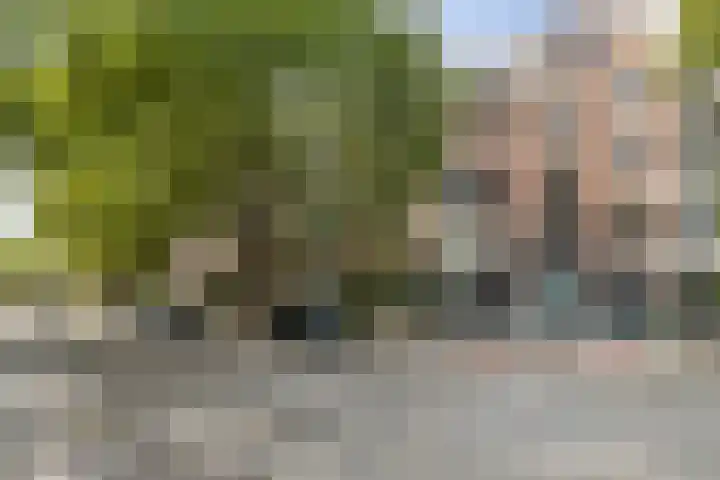 Mathenesserlaan 353 B Rotterdam thumbnail 31