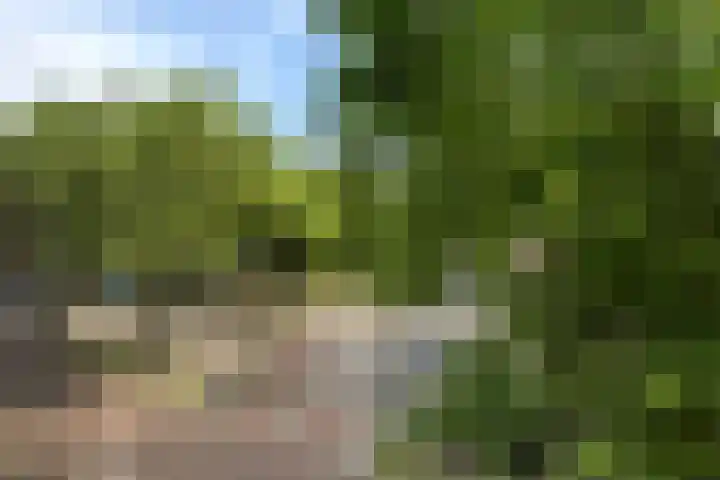 Mathenesserlaan 353 B Rotterdam thumbnail 6