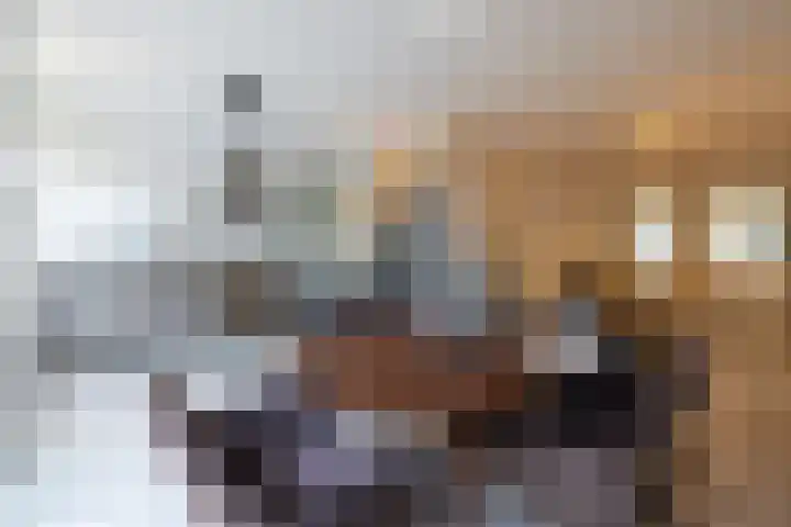 Mathenesserlaan 362 A Rotterdam thumbnail 10