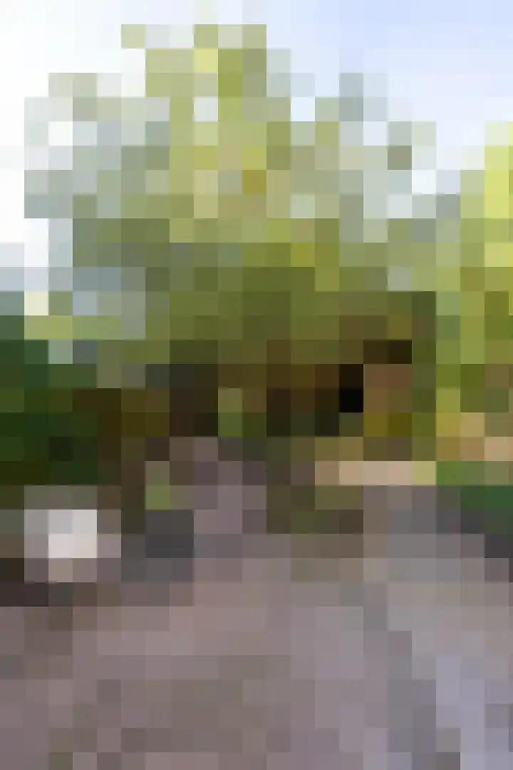 Mathenesserlaan 362 A Rotterdam thumbnail 14