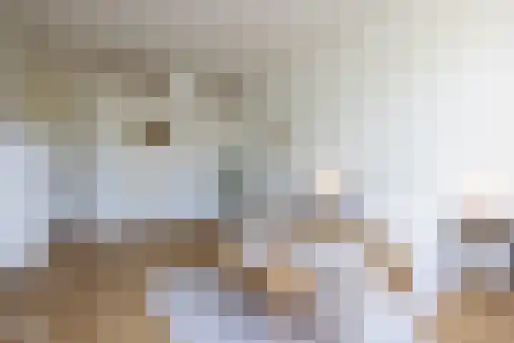 Mathenesserlaan 362 A Rotterdam thumbnail 26