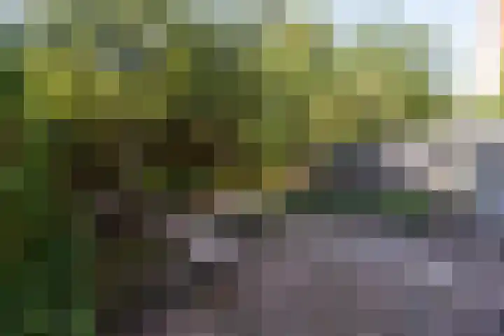 Mathenesserlaan 362 A Rotterdam thumbnail 33