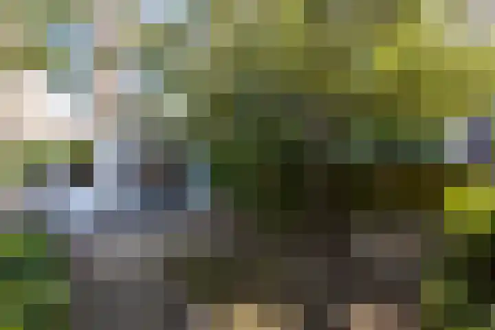 Mathenesserlaan 362 A Rotterdam thumbnail 34