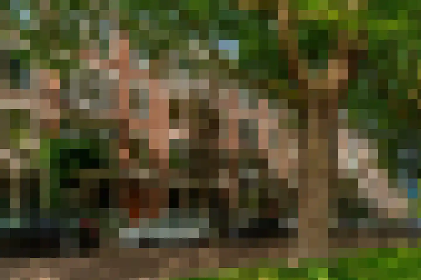 Mathenesserlaan 363 B Rotterdam thumbnail 30