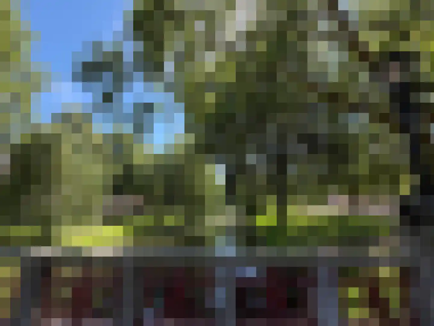 Mathenesserlaan 365 A Rotterdam thumbnail 39