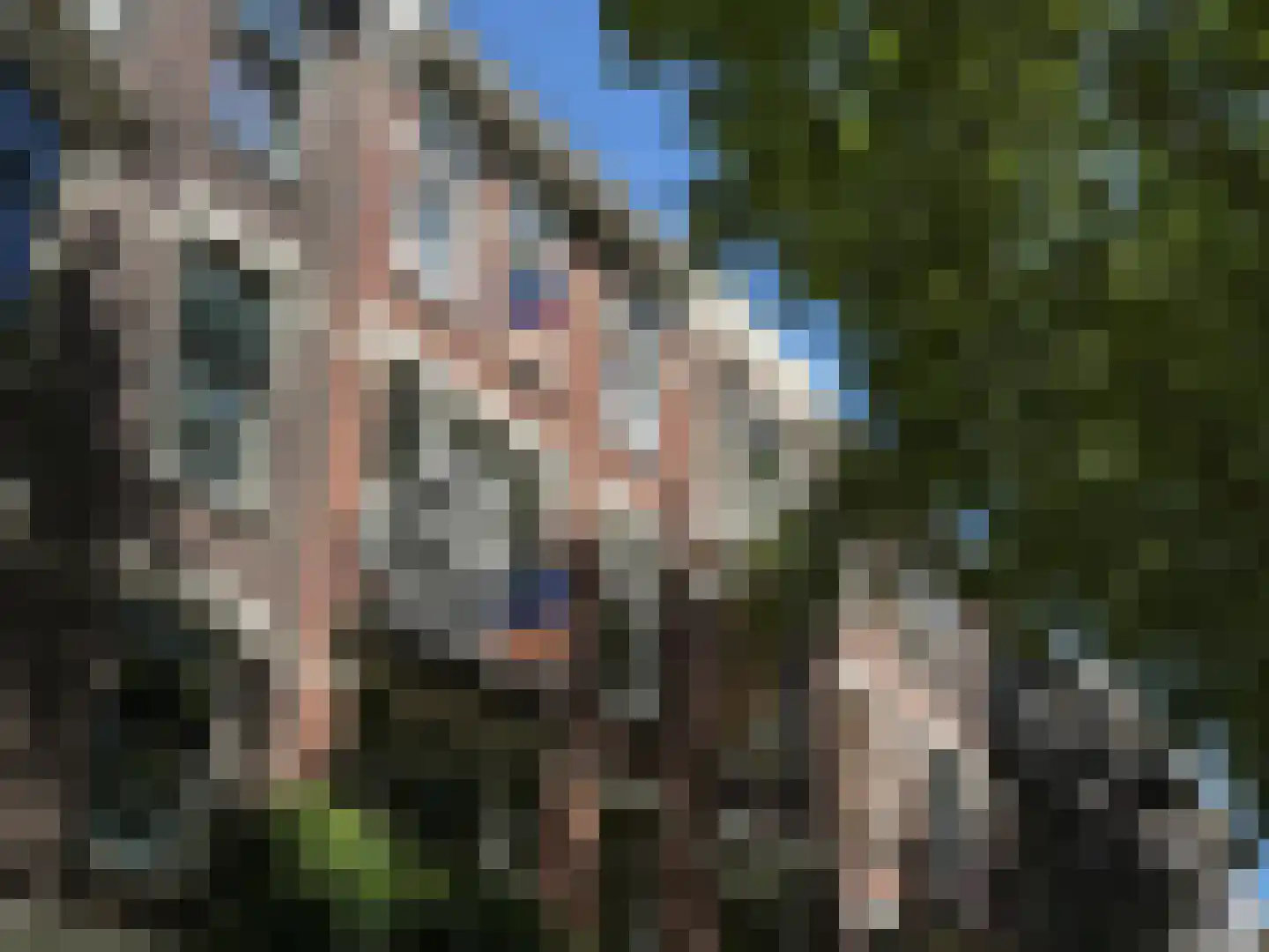 Mathenesserlaan 365 A Rotterdam thumbnail 6