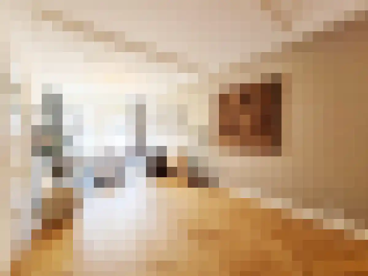 Mathenesserlaan 365 Rotterdam thumbnail 5