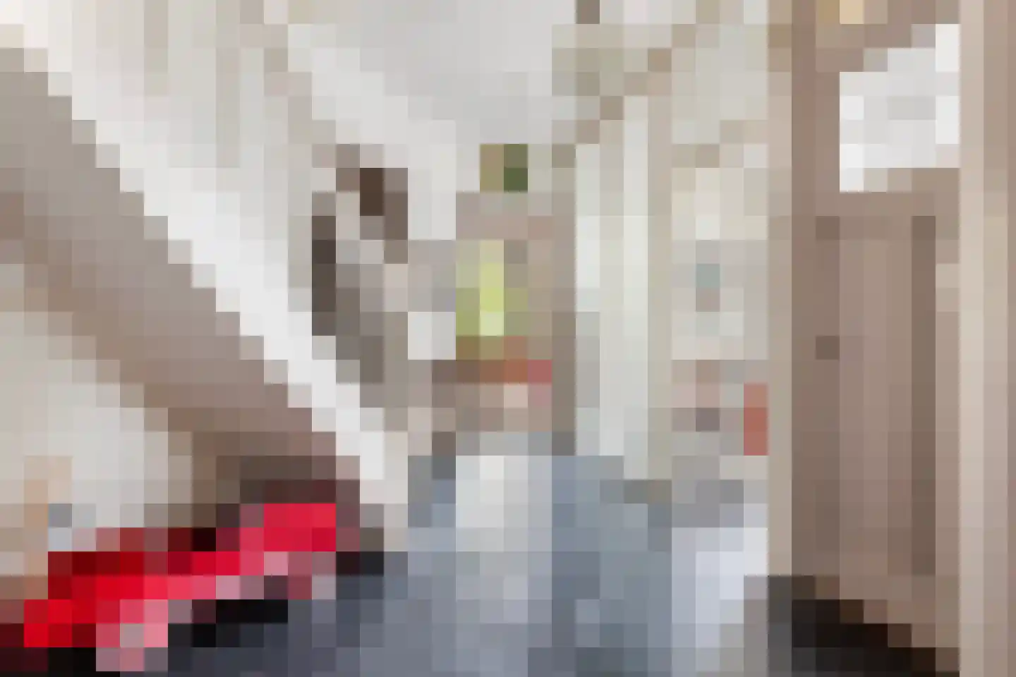 Mathenesserlaan 369 A Rotterdam thumbnail 17