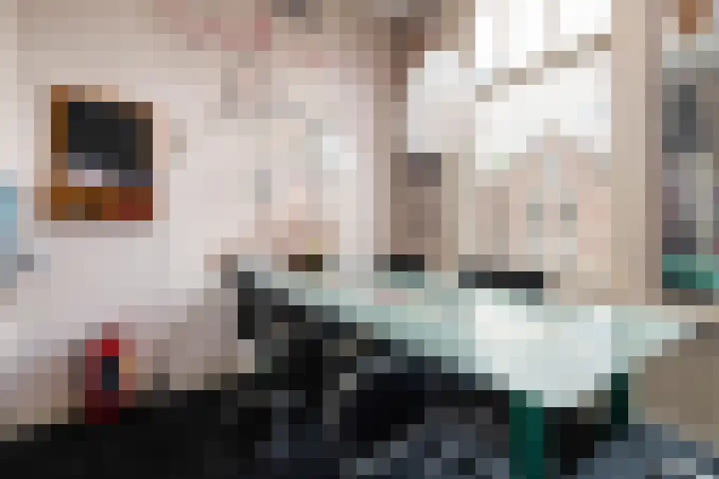 Mathenesserlaan 369 A Rotterdam thumbnail 24