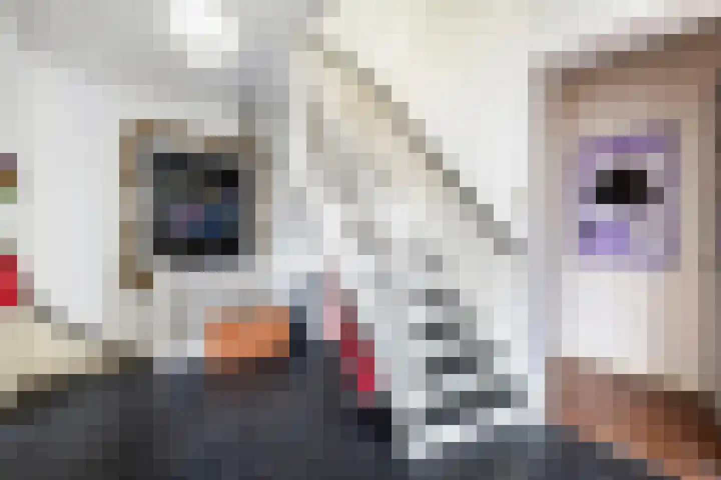 Mathenesserlaan 369 A Rotterdam thumbnail 43