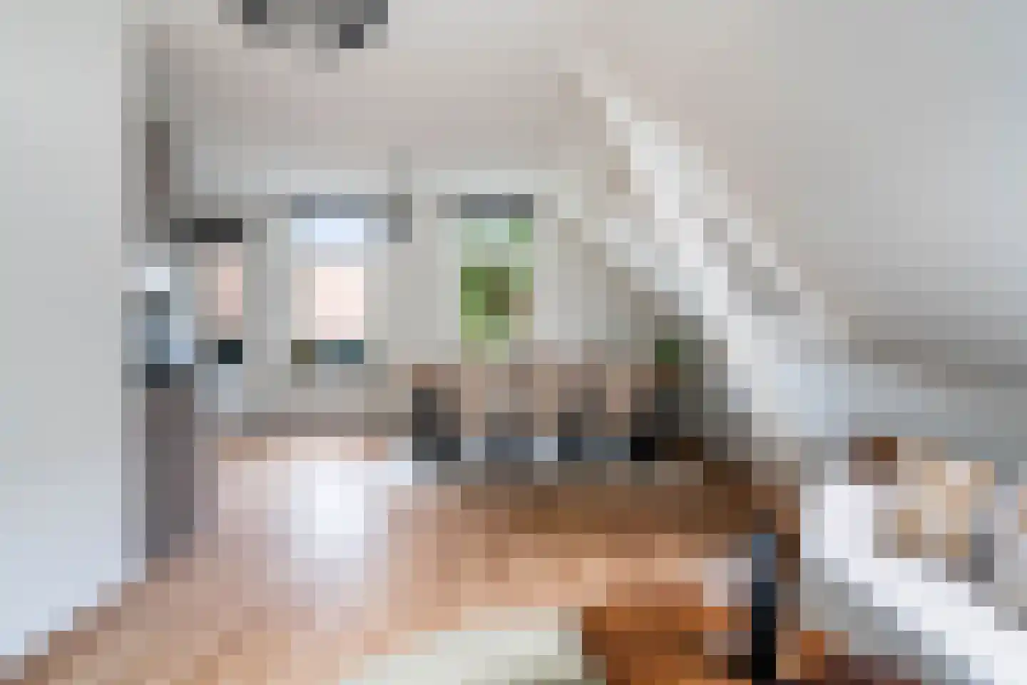 Mathenesserlaan 374 C Rotterdam thumbnail 22