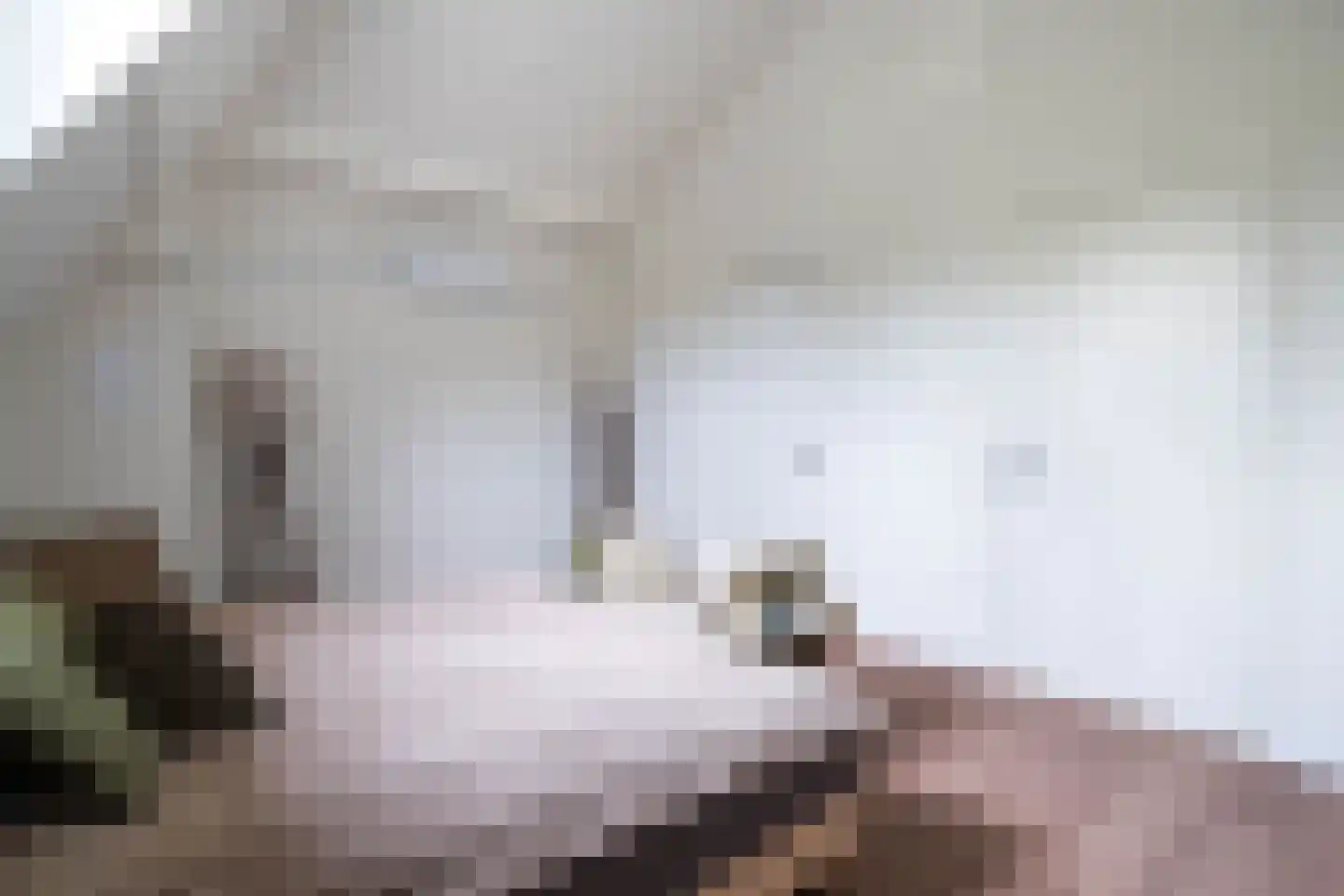Mathenesserlaan 374 C Rotterdam thumbnail 35