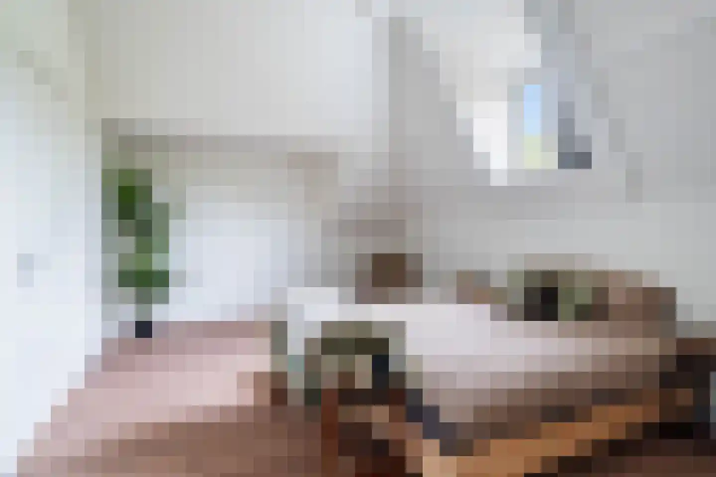 Mathenesserlaan 374 C Rotterdam thumbnail 5