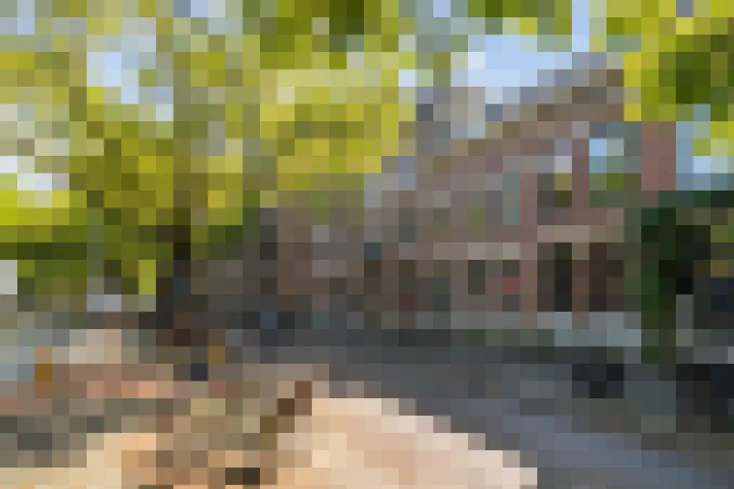Mathenesserlaan 374 C Rotterdam thumbnail 6