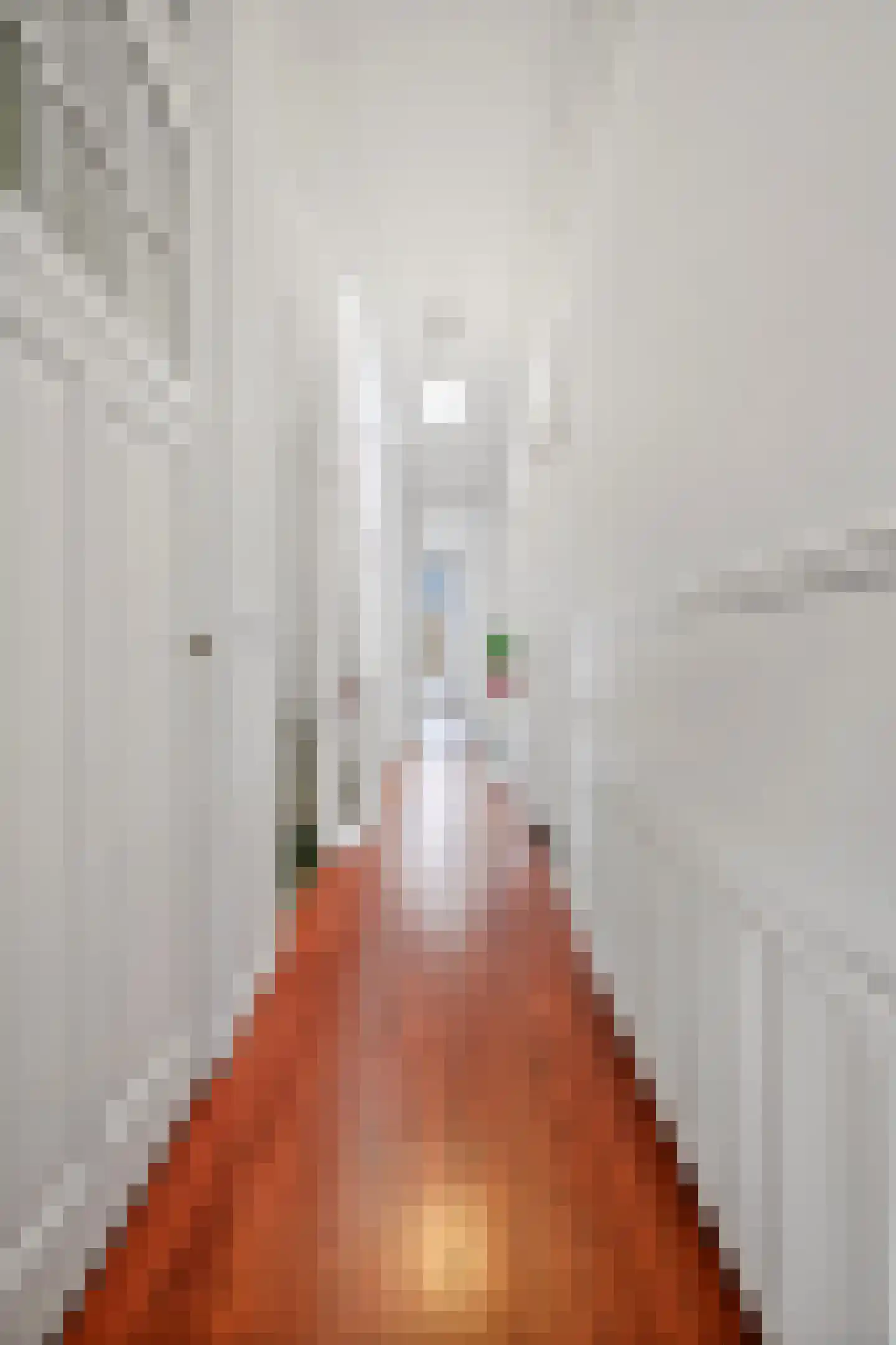 Mathenesserlaan 388 B Rotterdam thumbnail 69