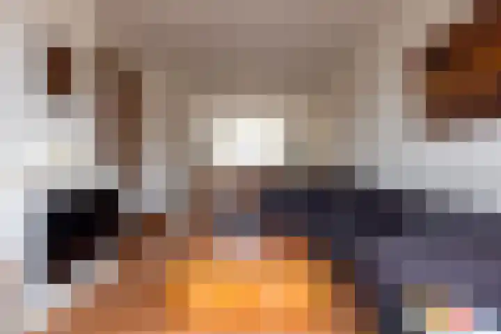 Mathenesserlaan 390 A Rotterdam thumbnail 7