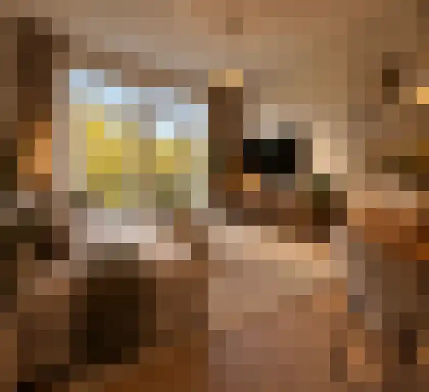 Mathenesserlaan 390 Rotterdam thumbnail 6