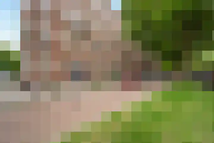 Mathenesserlaan 393 A Rotterdam thumbnail 15