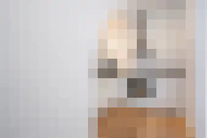 Mathenesserlaan 393 A Rotterdam thumbnail 7
