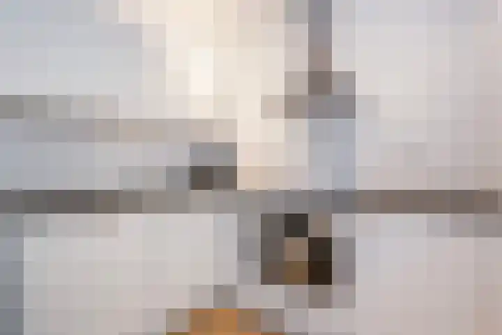 Mathenesserlaan 393 A Rotterdam thumbnail 8