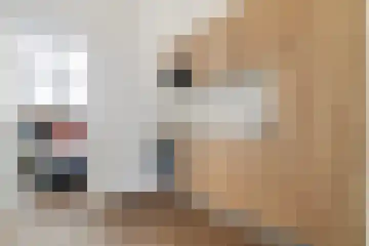 Mathenesserlaan 393 A Rotterdam thumbnail 8
