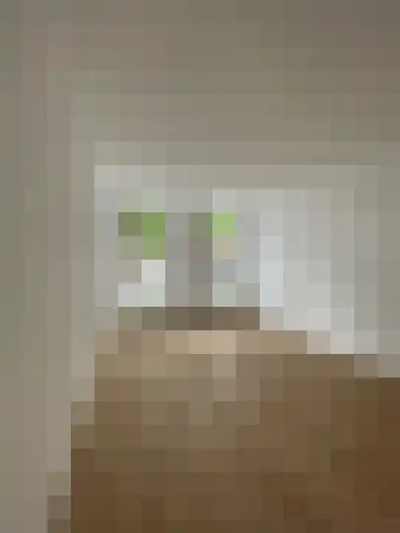 Mathenesserlaan 399 Rotterdam thumbnail 5