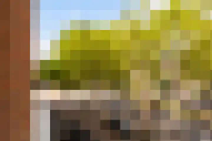 Mathenesserlaan 400 A Rotterdam thumbnail 22