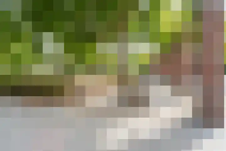 Mathenesserlaan 400 A Rotterdam thumbnail 52
