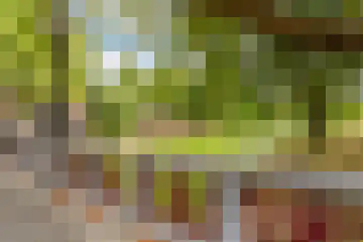 Mathenesserlaan 400 A Rotterdam thumbnail 53
