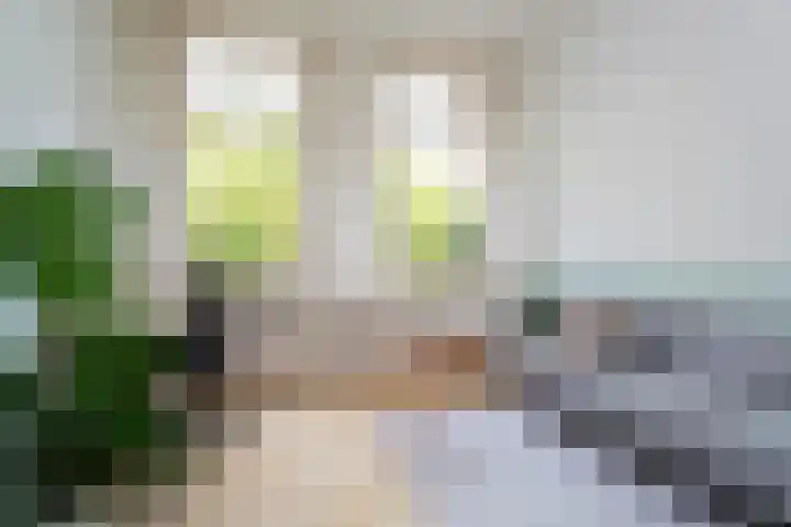 Mathenesserlaan 400 A Rotterdam thumbnail 7