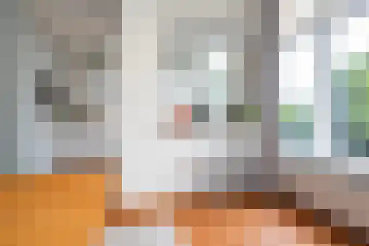 Mathenesserlaan 403 A Rotterdam thumbnail 10