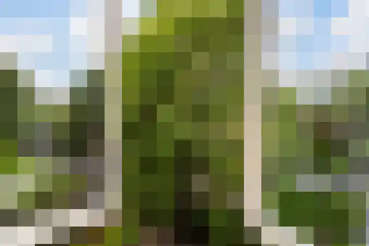 Mathenesserlaan 403 A Rotterdam thumbnail 15